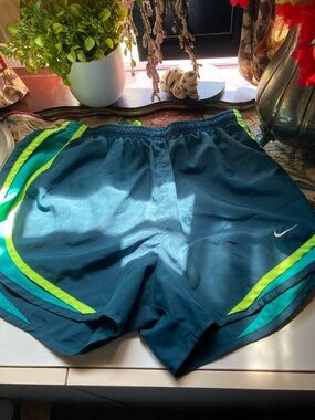 Nike Teal Running Shorts with Lime and Aqua Stripes